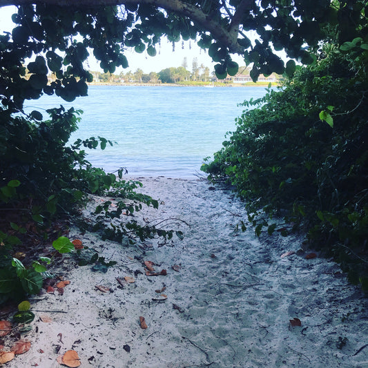 Fort Pierce Inlet State Park