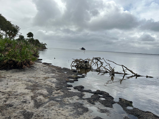 Pine Island Conservation Area