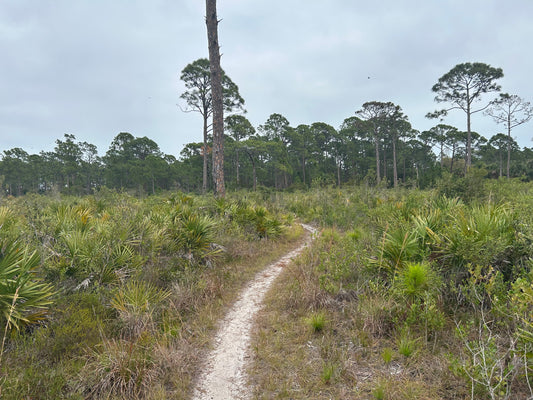 Malabar Scrub Sanctuary