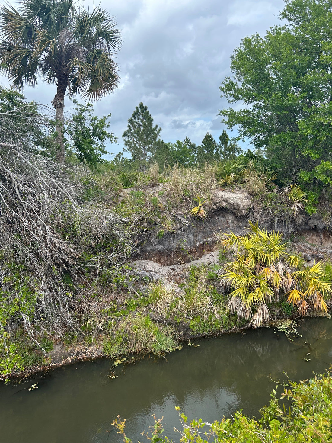 South Lake Conservation Area